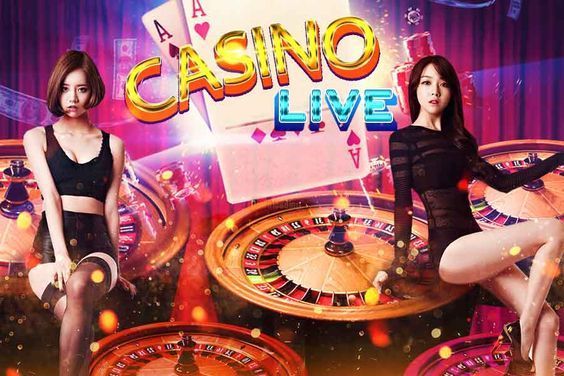 Bingo Patti Game Live Betting